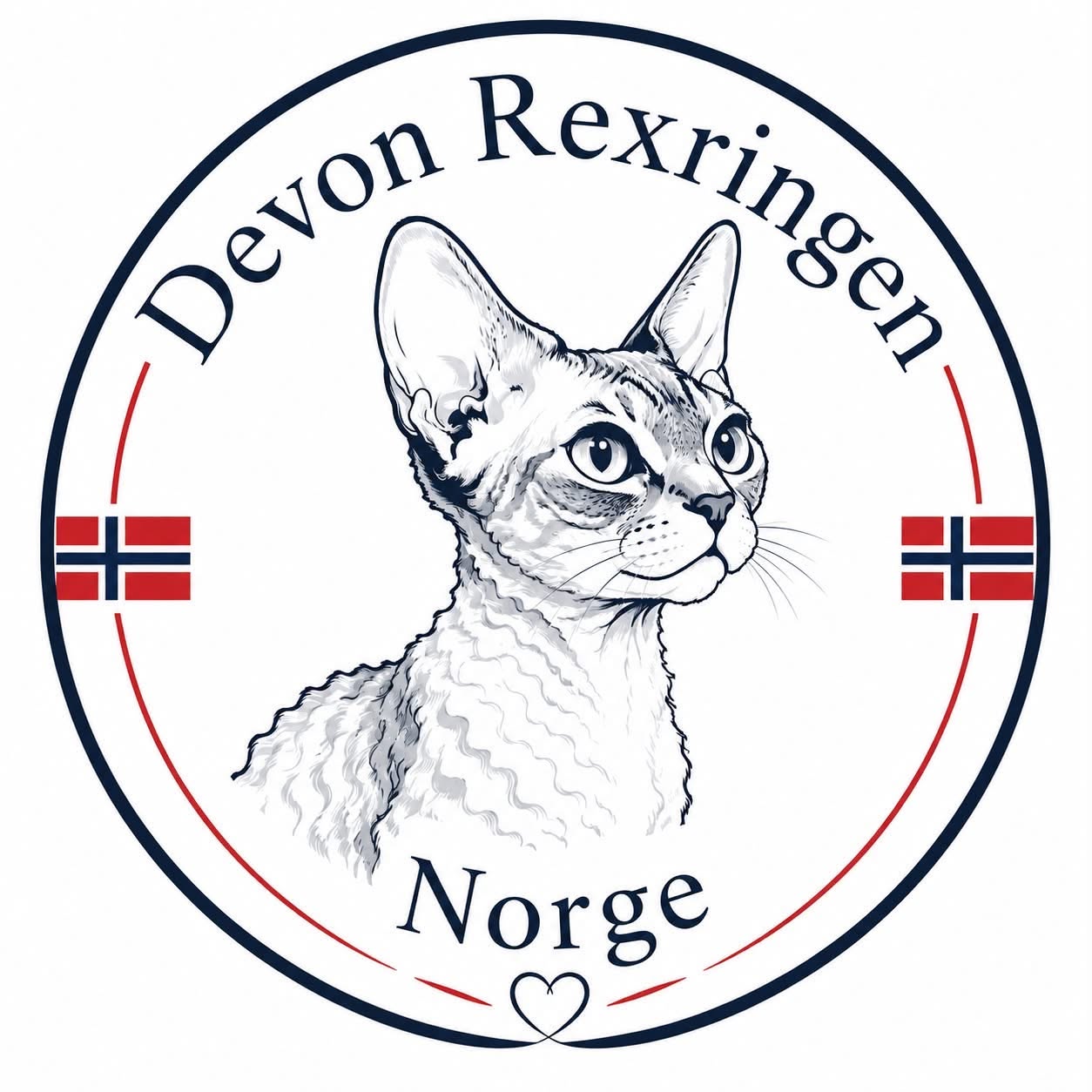 Devon Rexringen Norge